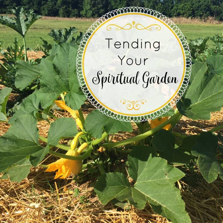 Dive into Summer with Hawaiian Dogs & Pineapple Relish Southern Discourse