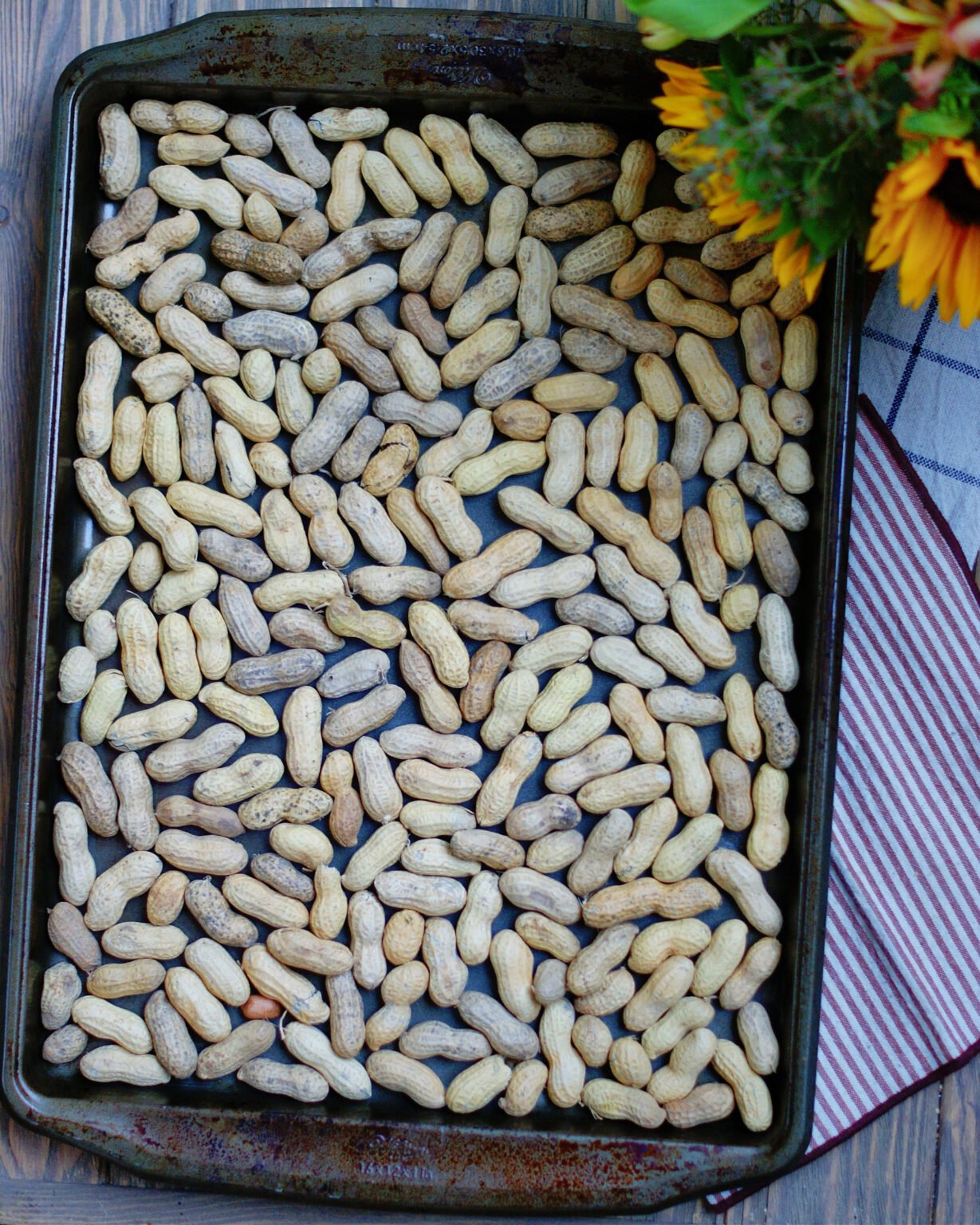 Easy Roasted Peanuts in the Shell Southern Discourse