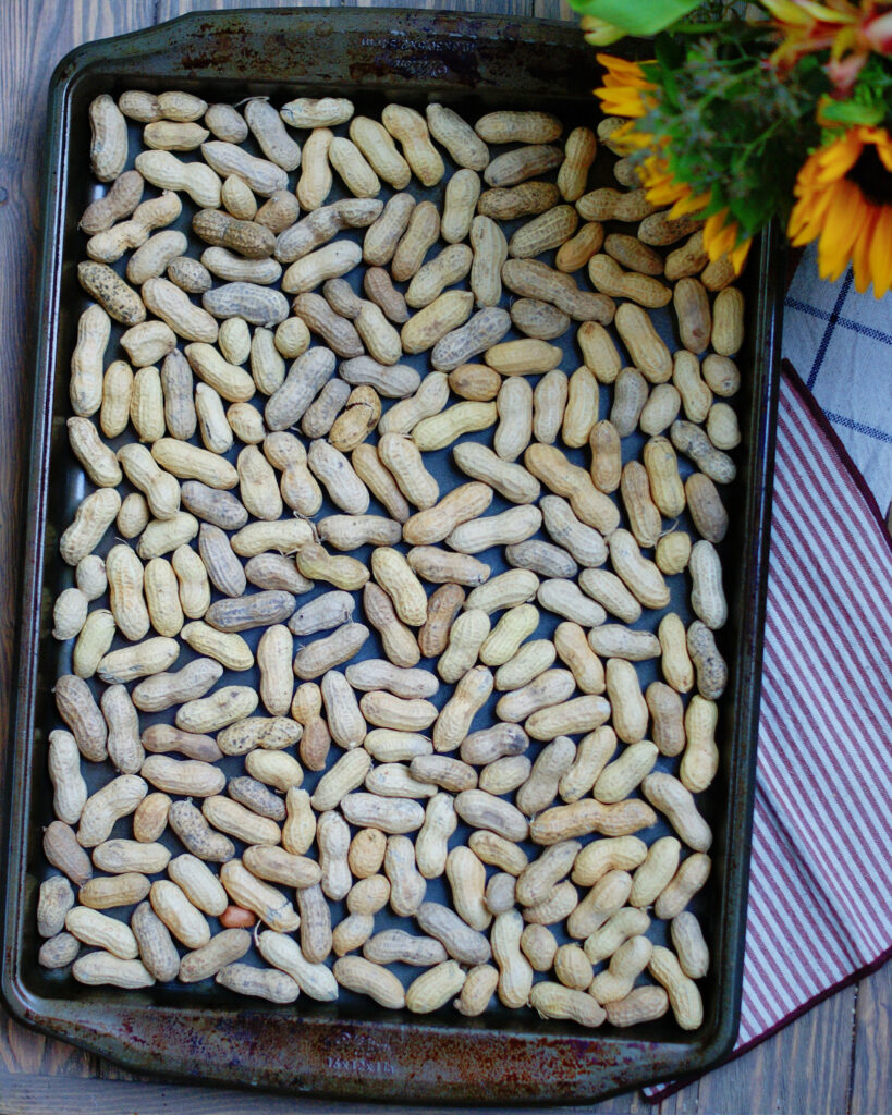Easy Roasted Peanuts In The Shell Southern Discourse easy-roasted-peanuts-in-the-shell-southern-discourse