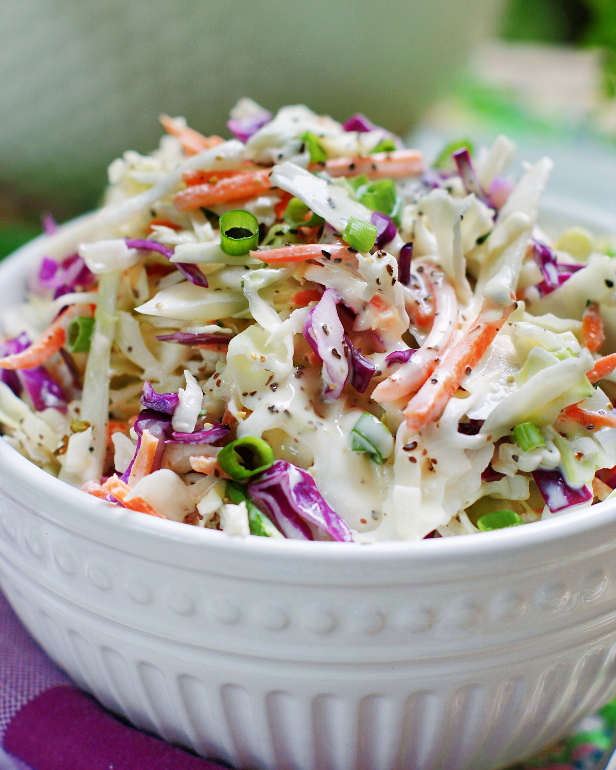 Old Fashioned Coleslaw Recipe Bryont Blog