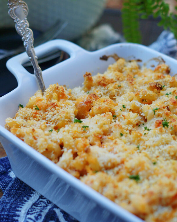 Creamy Seafood Mac and Cheese Southern Discourse