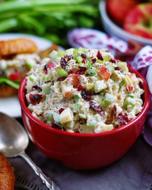 Winter Cranberry Chicken Salad Southern Discourse